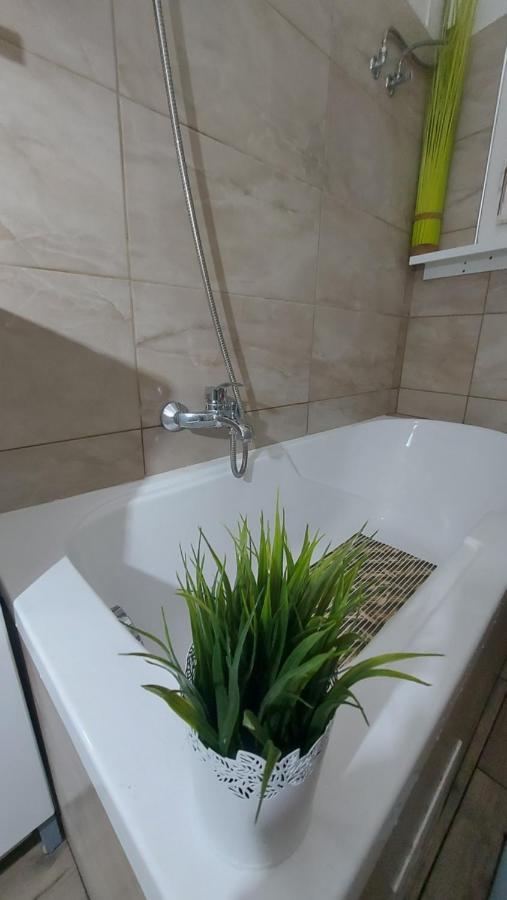 Apartman Gecko Centrum *